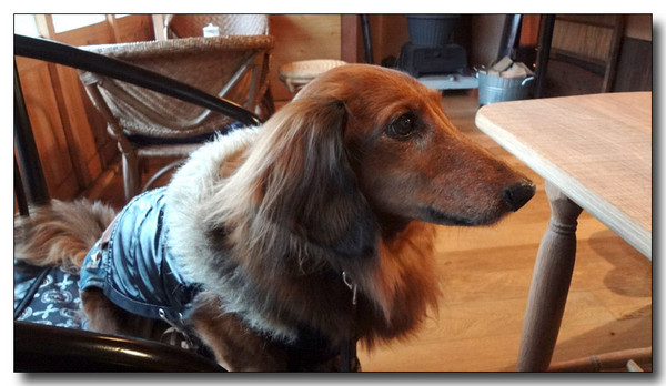 20130303234034.jpg
