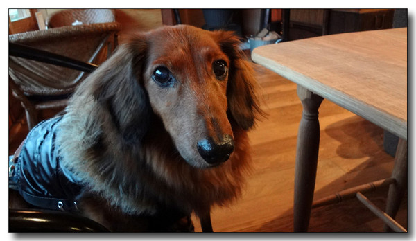 20130303234035.jpg