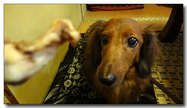 20130304004641.jpg