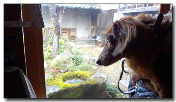 20130304095745.jpg