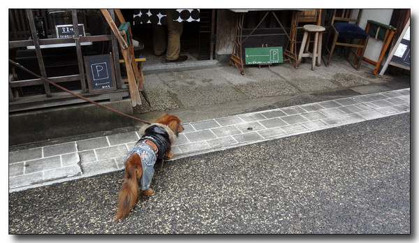 20130304095750.jpg