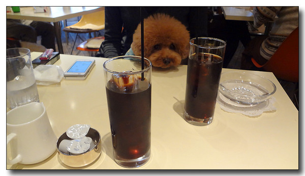 20130304214106.JPG