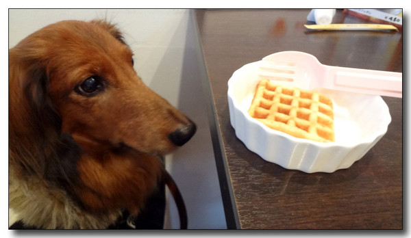 20130304214228.jpg