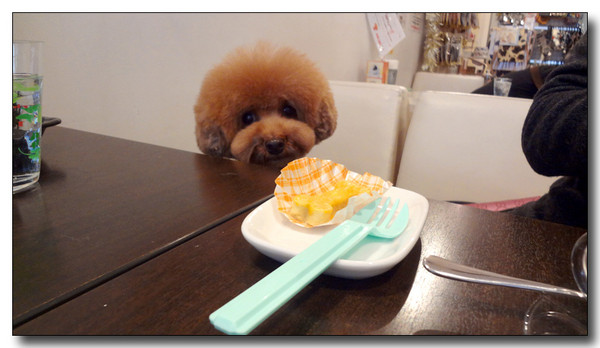 20130304214233.JPG