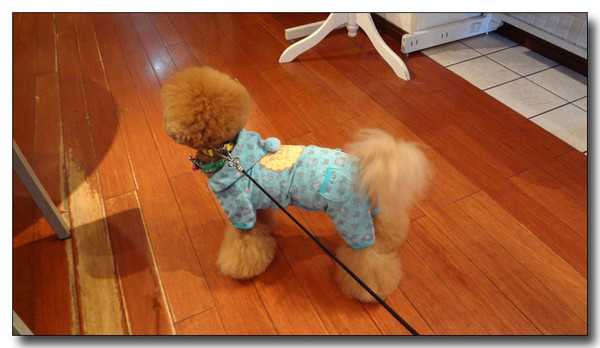 20130304214234.JPG