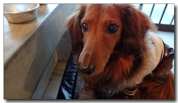 20130305161853.jpg
