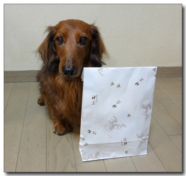 20130305163012.jpg