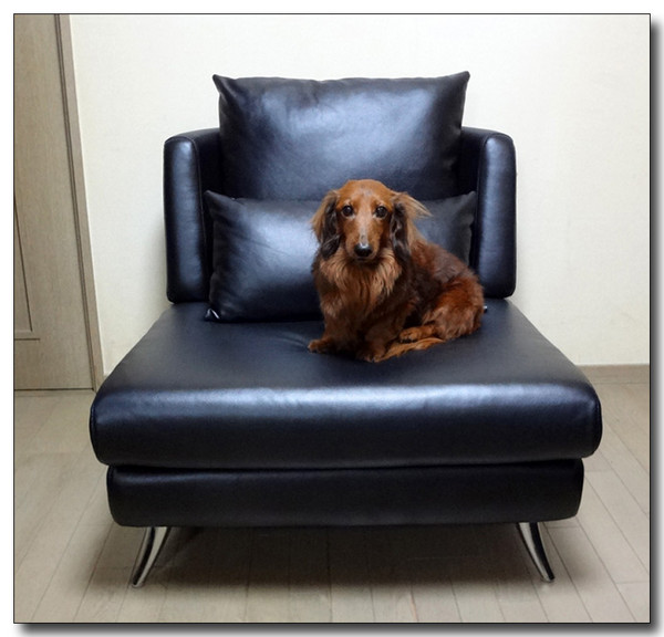 20130305171039.jpg