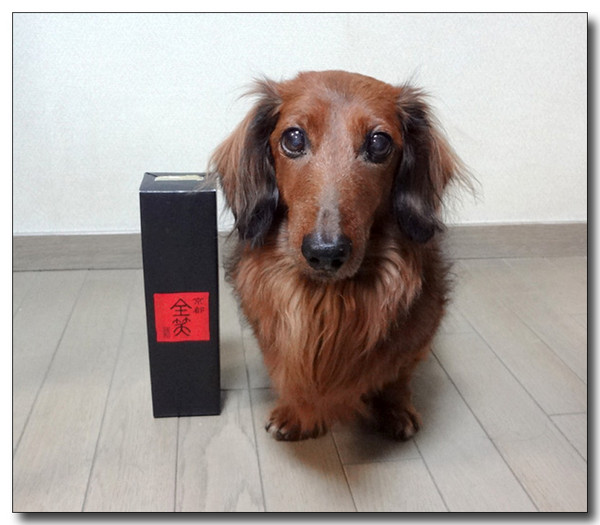 20130305171041.jpg