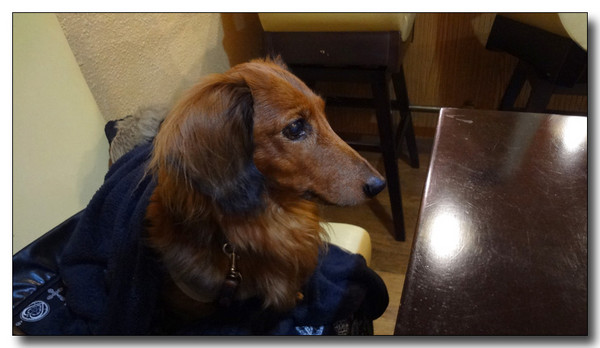 20130305202132.jpg