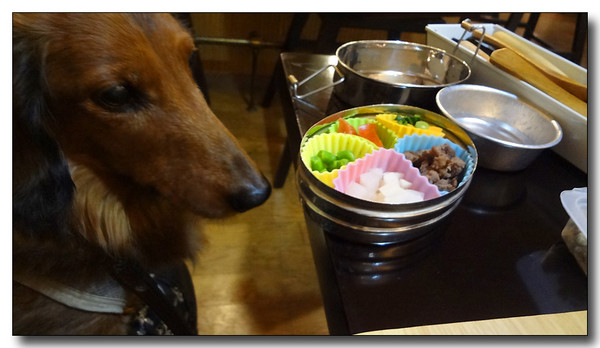 20130305202133.jpg