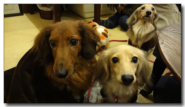 20130305203738.jpg