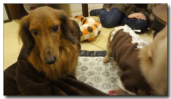 20130305203743.jpg