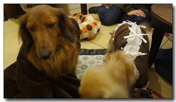 20130305203744.jpg