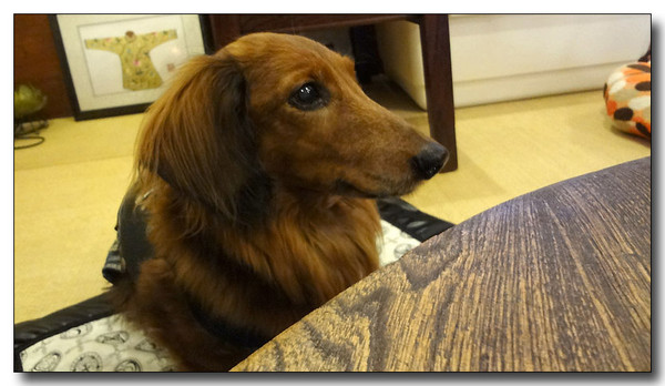 20130305203745.jpg