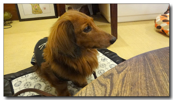 20130305203746.jpg