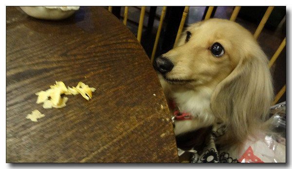 20130305203756.JPG