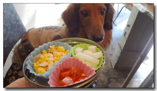 20130306212843.jpg