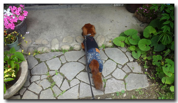 20160714071731.jpg