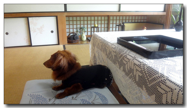 20160714071812.jpg