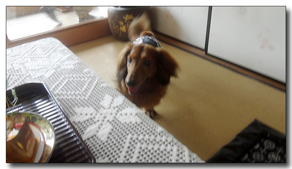 20160714071816.jpg
