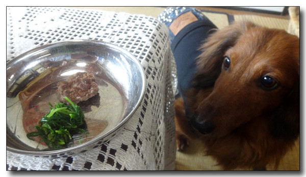 20160714072041.jpg