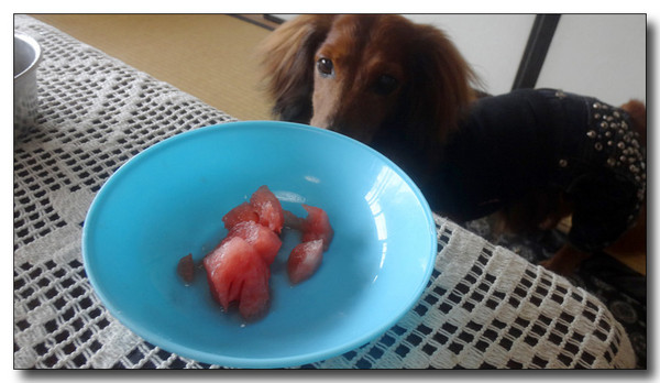 20160714072126.jpg