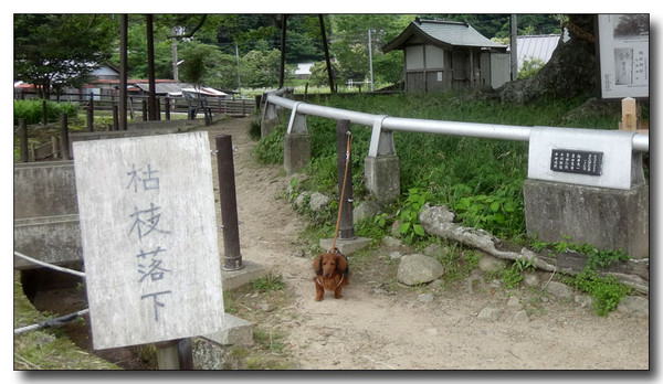 20160712202250.jpg