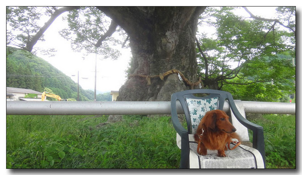 20160712202251.jpg