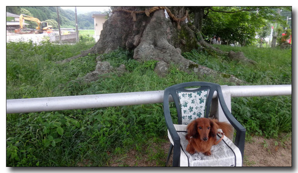 20160712202253.jpg