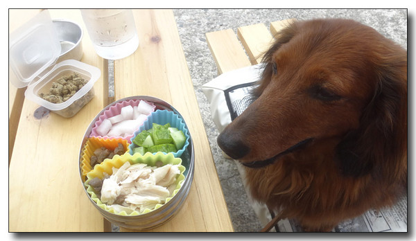 20160713085637.jpg