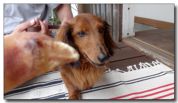 20160713114615.jpg