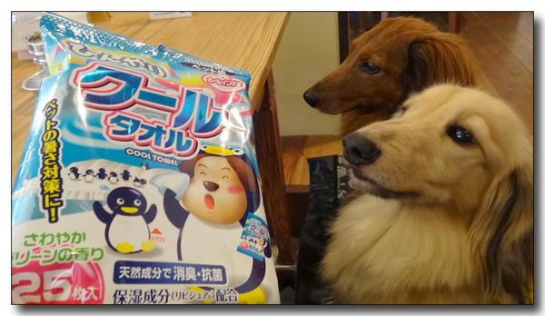 20140514111933.jpg