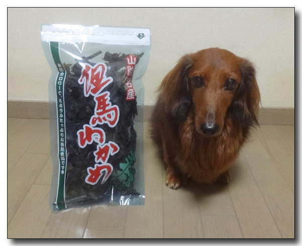 20140514193958.jpg