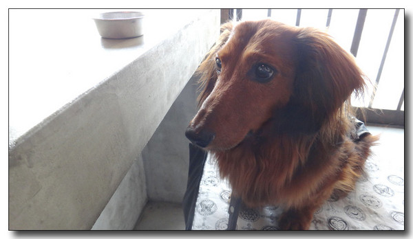 20140514200635.jpg