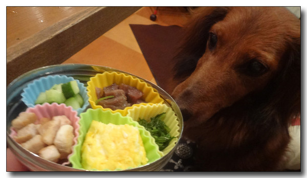 20140516144617.jpg