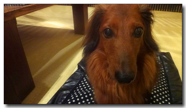 20140611002105.jpg