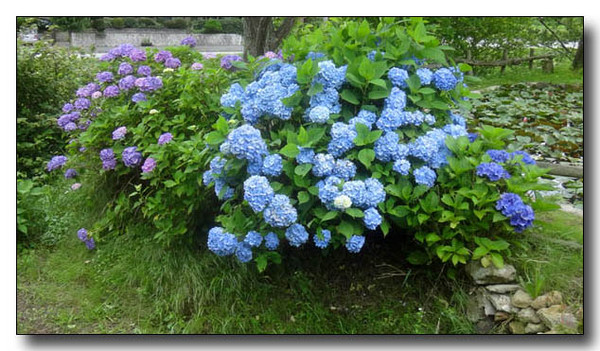 20140611080532.jpg