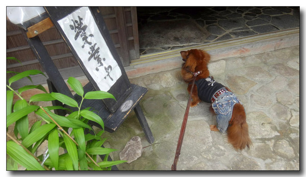 20140611091949.jpg