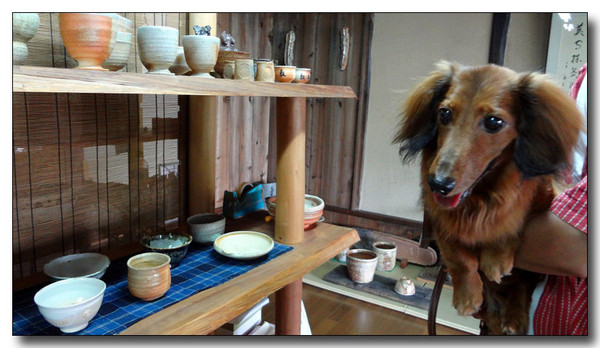 20140511172203.jpg
