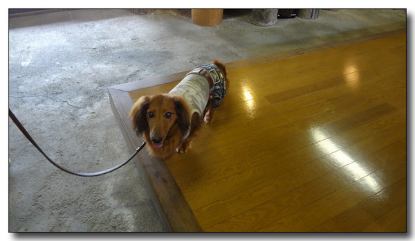20140511172259.jpg