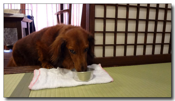 20140511215707.jpg