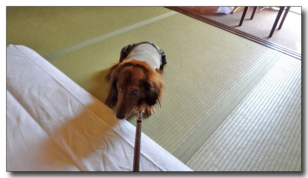20140511215839.jpg