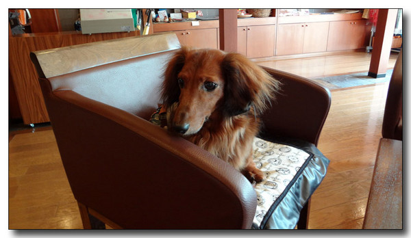 20140511215910.jpg