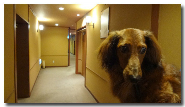 20140512001402.jpg