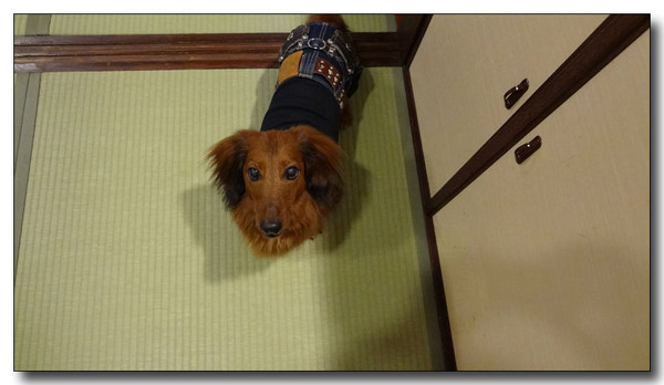 20140512081632.jpg