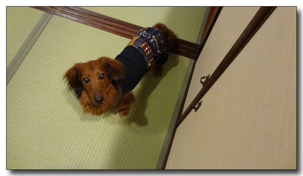 20140512081634.jpg