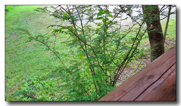 20140512100610.jpg
