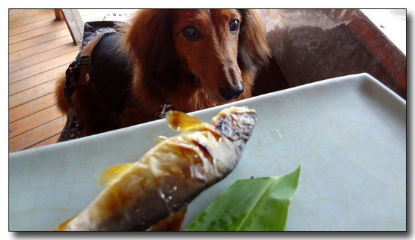 20140512115814.jpg