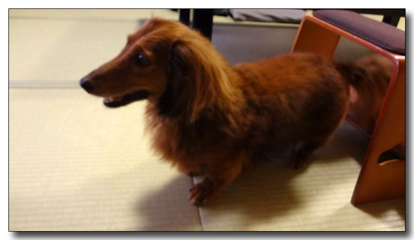 20140512130315.jpg